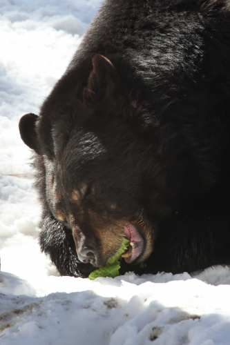 2023-BigCircleII-1417fhd