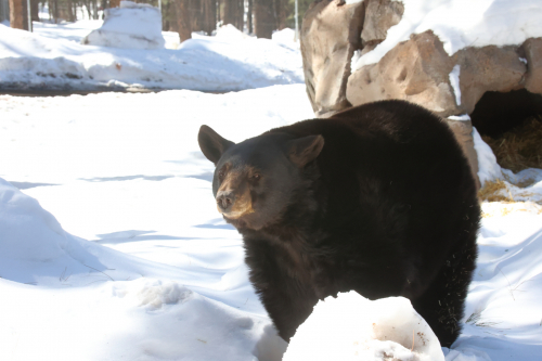 2023-BigCircleII-1419fhd