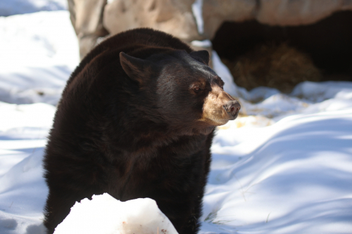 2023-BigCircleII-1420fhd