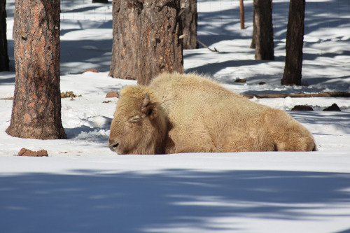 2023-BigCircleII-1422fhd