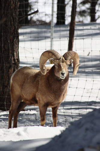 2023-BigCircleII-1423fhd