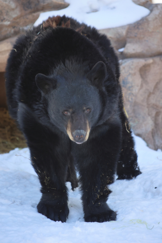 2023-BigCircleII-1425fhd