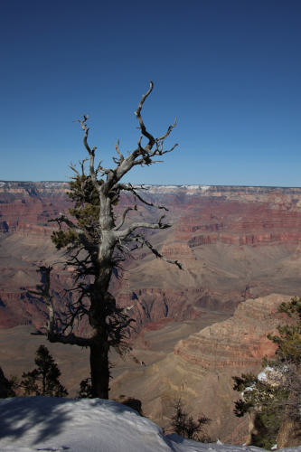 2023-BigCircleII-1435fhd