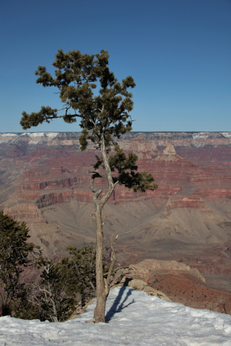 2023-BigCircleII-1437fhd