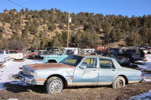 2023-BigCircleII-1480fhd (1)