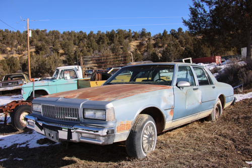 2023-BigCircleII-1482fhd (1)