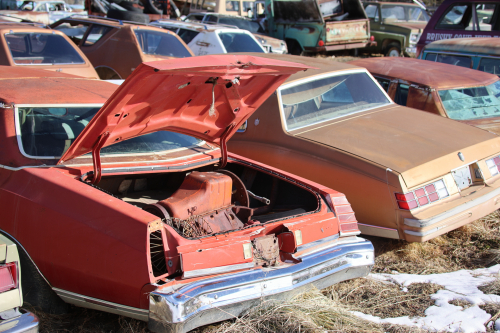 2023-BigCircleII-1508fhd (1)