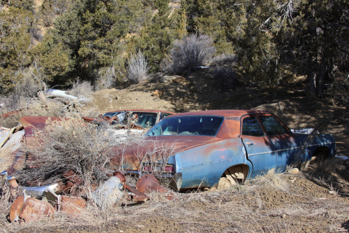 2023-BigCircleII-1556fhd (1)