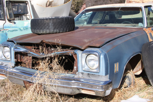 2023-BigCircleII-1559fhd (1)