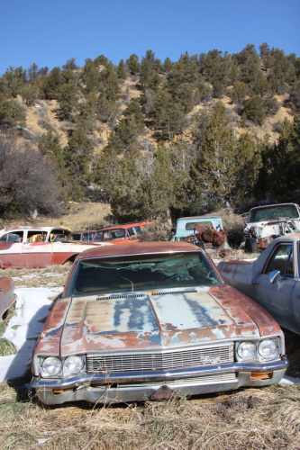 2023-BigCircleII-1562fhd (1)