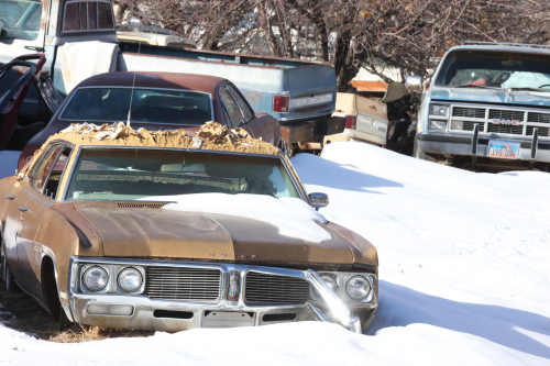 2023-BigCircleII-1564fhd (1)