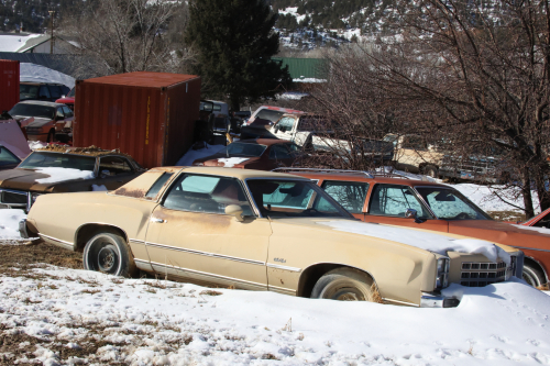 2023-BigCircleII-1582fhd (1)