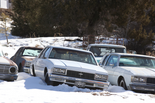 2023-BigCircleII-1610fhd (1)