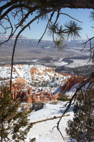 2023-BigCircleII-1622fhd (1)