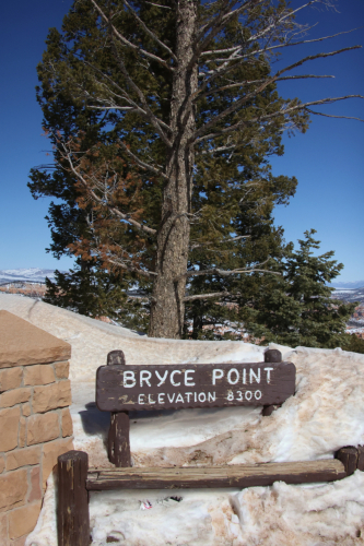 2023-BigCircleII-1623fhd (1) (1)