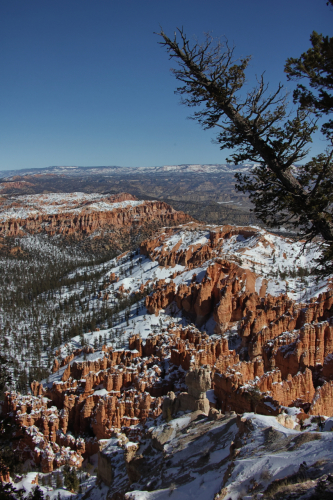 2023-BigCircleII-1625fhd (1)