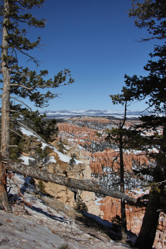 2023-BigCircleII-1626fhd (1)