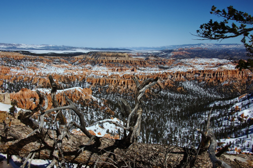 2023-BigCircleII-1627fhd (1)