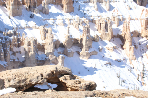 2023-BigCircleII-1636fhd (1)