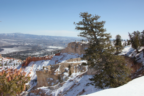 2023-BigCircleII-1638fhd (1)