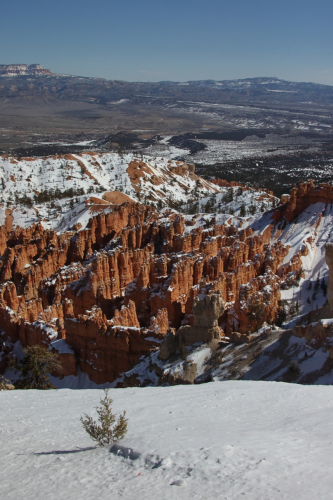 2023-BigCircleII-1639fhd (1)