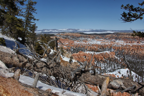 2023-BigCircleII-1640fhd (1)