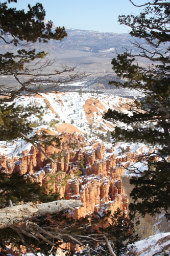 2023-BigCircleII-1641fhd (1)