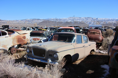 2023-BigCircleII-1693fhd (1)