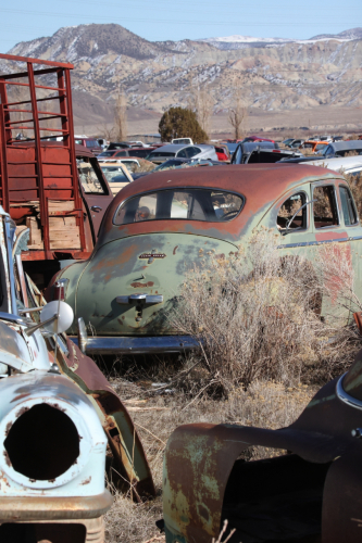 2023-BigCircleII-1699fhd (1)