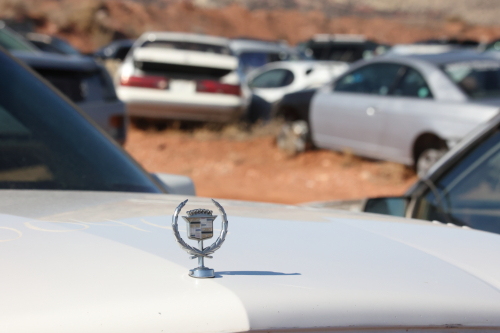 2023-BigCircleII-1714fhd (1)