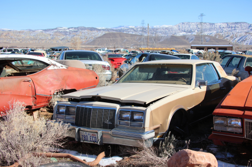 2023-BigCircleII-1775fhd (1)