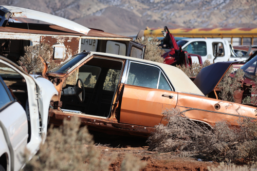 2023-BigCircleII-1779fhd (1)