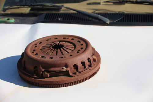 2023-BigCircleII-1781fhd (1)