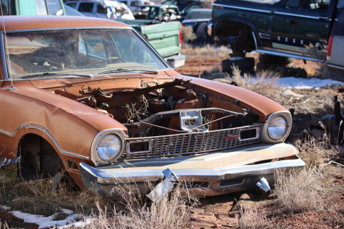 2023-BigCircleII-1794fhd (1)