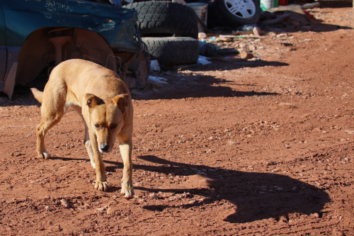 2023-BigCircleII-1806fhd (1)