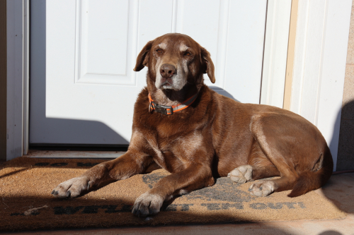 2023-BigCircleII-1819fhd