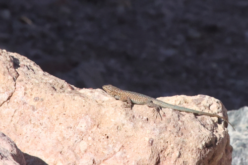 2023-BigCircleII-1932fhd