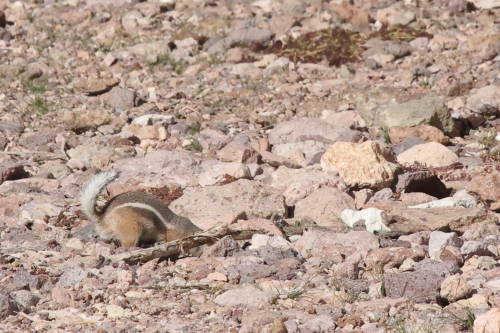 2023-BigCircleII-1933fhd