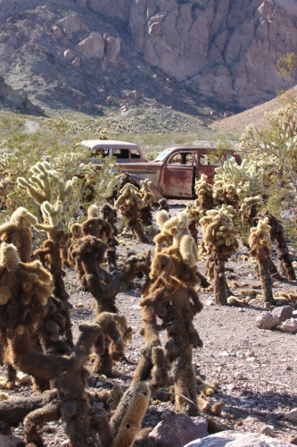 2023-BigCircleII-1943fhd