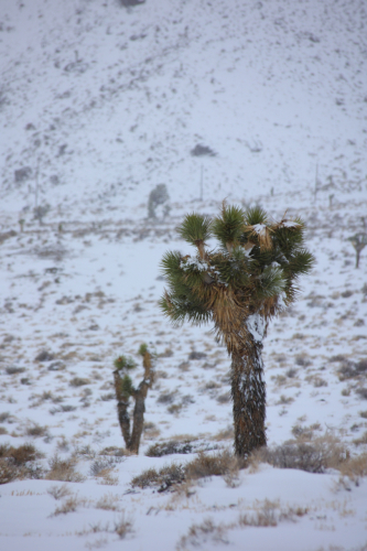 2023-BigCircleII-2113fhd