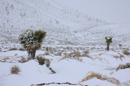 2023-BigCircleII-2131fhd