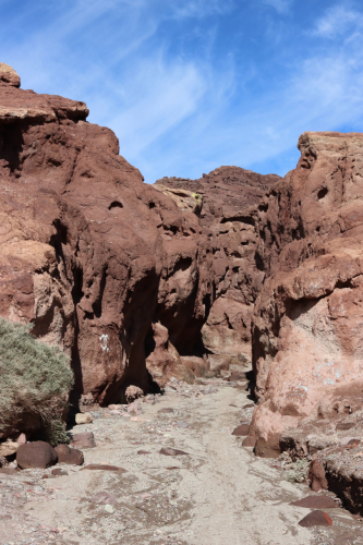 2024-RustyRoadTrip-0084fhd