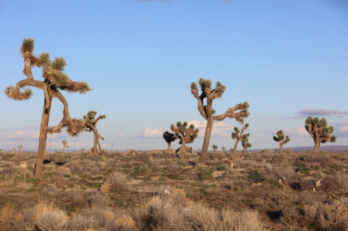 2024-RustyRoadTrip-0114fhd