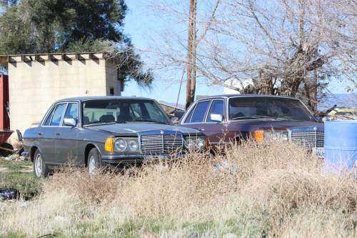 2024-RustyRoadTrip-0115fhd (1)