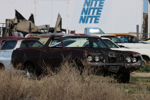 2024-RustyRoadTrip-0121fhd (1)