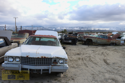 2024-RustyRoadTrip-0143fhd (1) (1) (1)