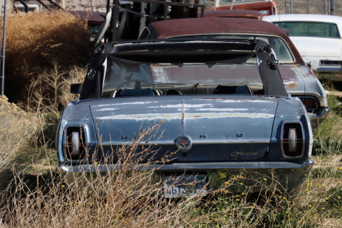 2024-RustyRoadTrip-0145fhd (1)