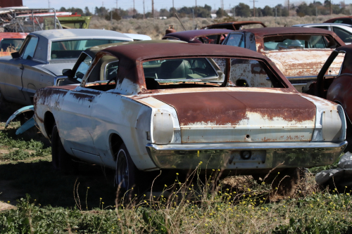 2024-RustyRoadTrip-0146fhd (1)