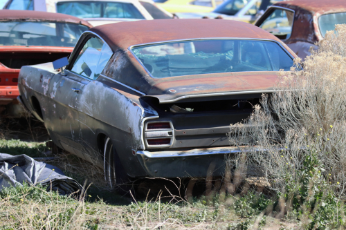 2024-RustyRoadTrip-0147fhd (1)