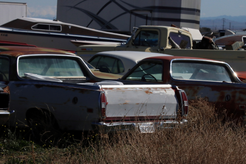 2024-RustyRoadTrip-0148fhd (1)